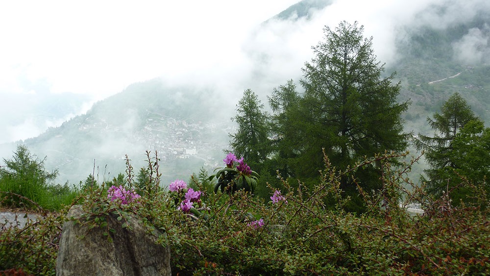Le paysage