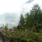 paysage_01
